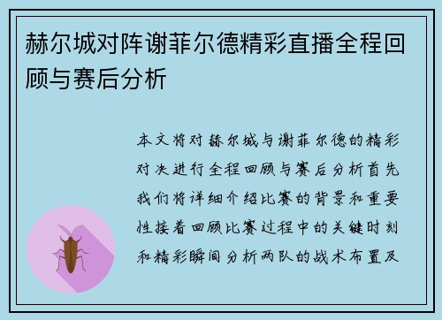 赫尔城对阵谢菲尔德精彩直播全程回顾与赛后分析